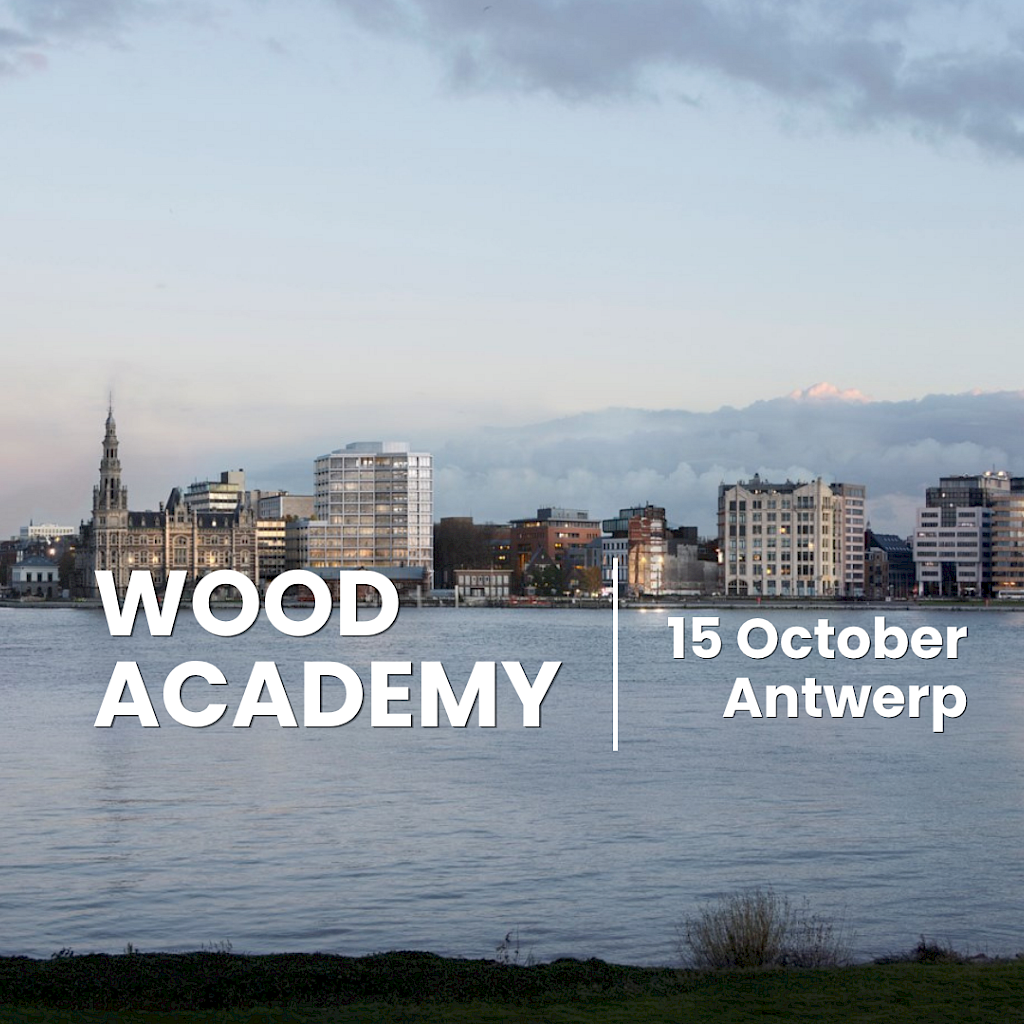 Wood Academy #5 **complet**